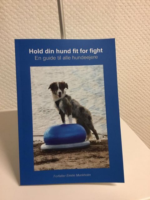 Hold din hund fit for fight